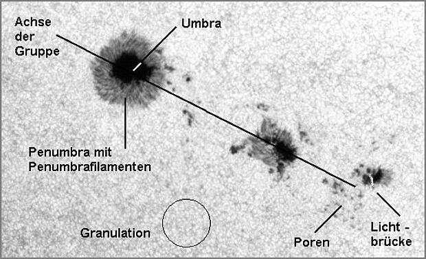 Schema einer bipolaren Sonnenfleckengruppe mit den wichtigsten Begriffen